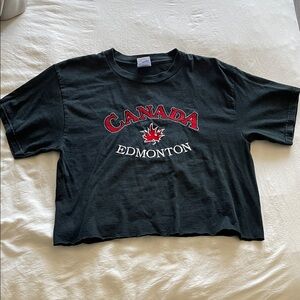Vintage Embroidered Edmonton Crop Top